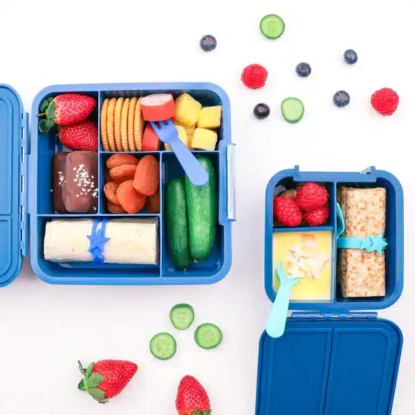 ⁦מארז בנטו דינזואור Dinosaur Cutter & Bento Set⁩ – תמונה ⁦2⁩