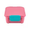 Little Lunch Box - קופסת בנטו מחולקת 2 תאים - Apple