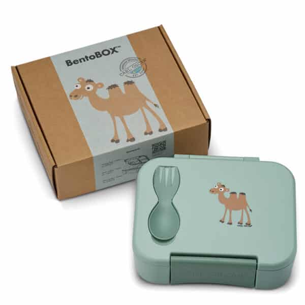 BentoBOX kids - קופסת אוכל לילדים - קארל אוסקר 99996330