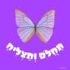 כרטיסיות Boxil - סדרת הקסם שלי בנים 1033