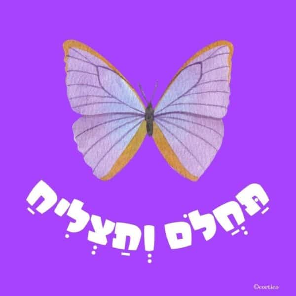 כרטיסיות Boxil - סדרת הקסם שלי בנים 1033