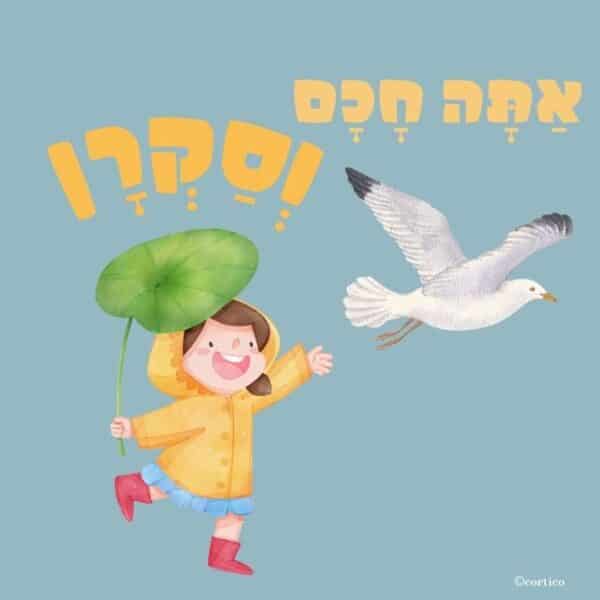 כרטיסיות Boxil - סדרת הקסם שלי בנים 1033