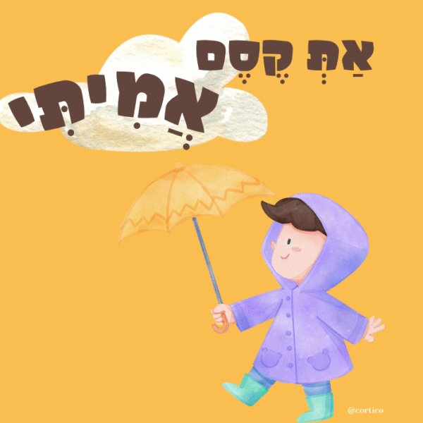 כרטיסיות Boxil - סדרת הקסם שלי בנות 1034