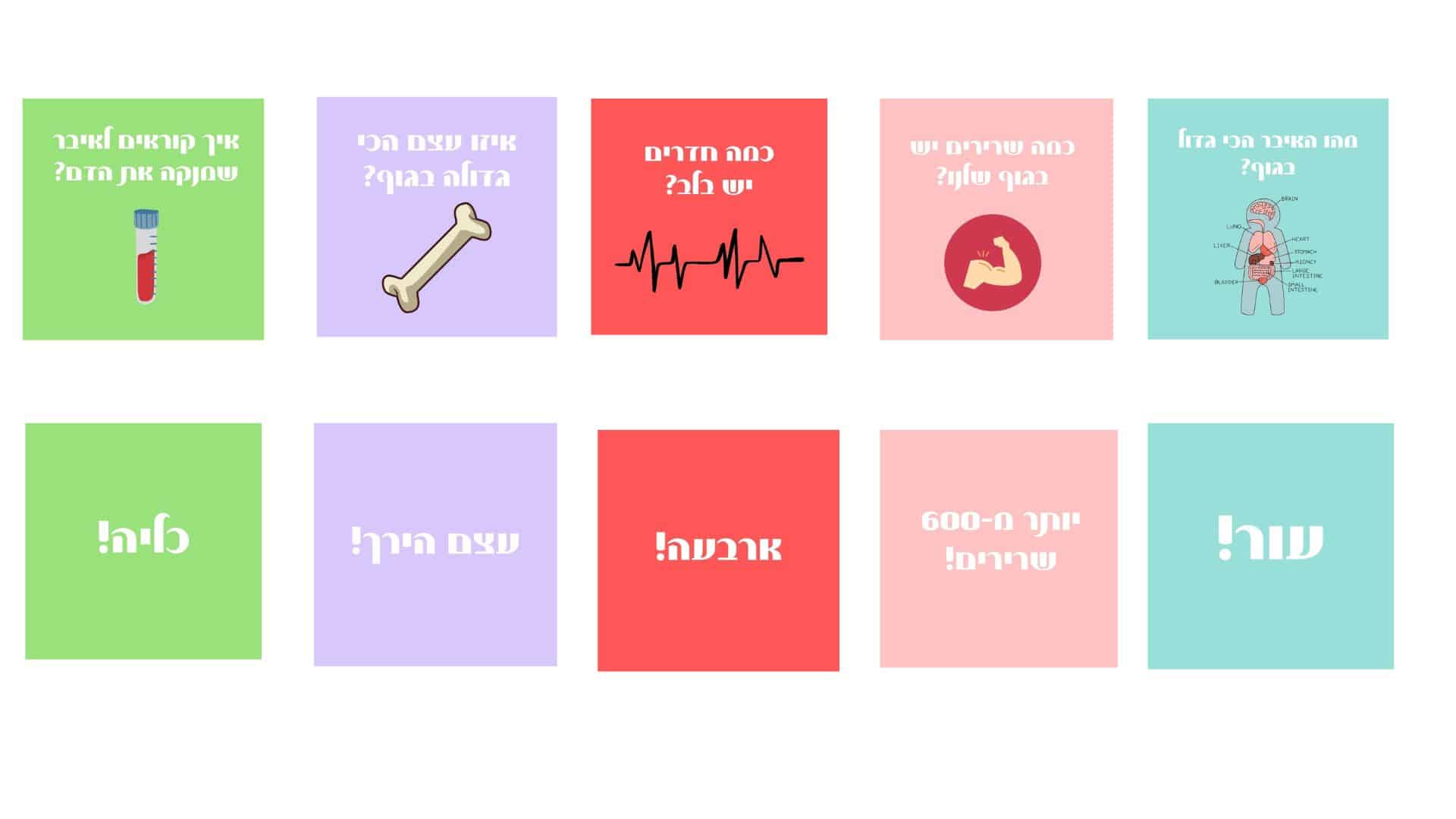 כרטיסיות Boxil - סדרת רופא קטן שואל סדרה 1 1038