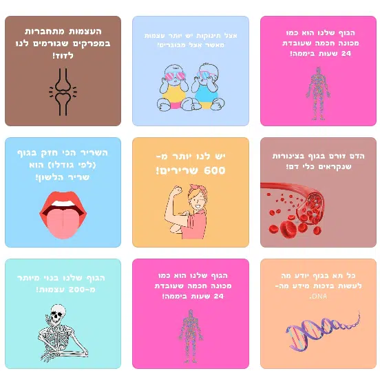 כרטיסיות לארוחת הבוקר רופא לדעת כרטיסיות לארוחת בוקר מסדרת רופא לדעת