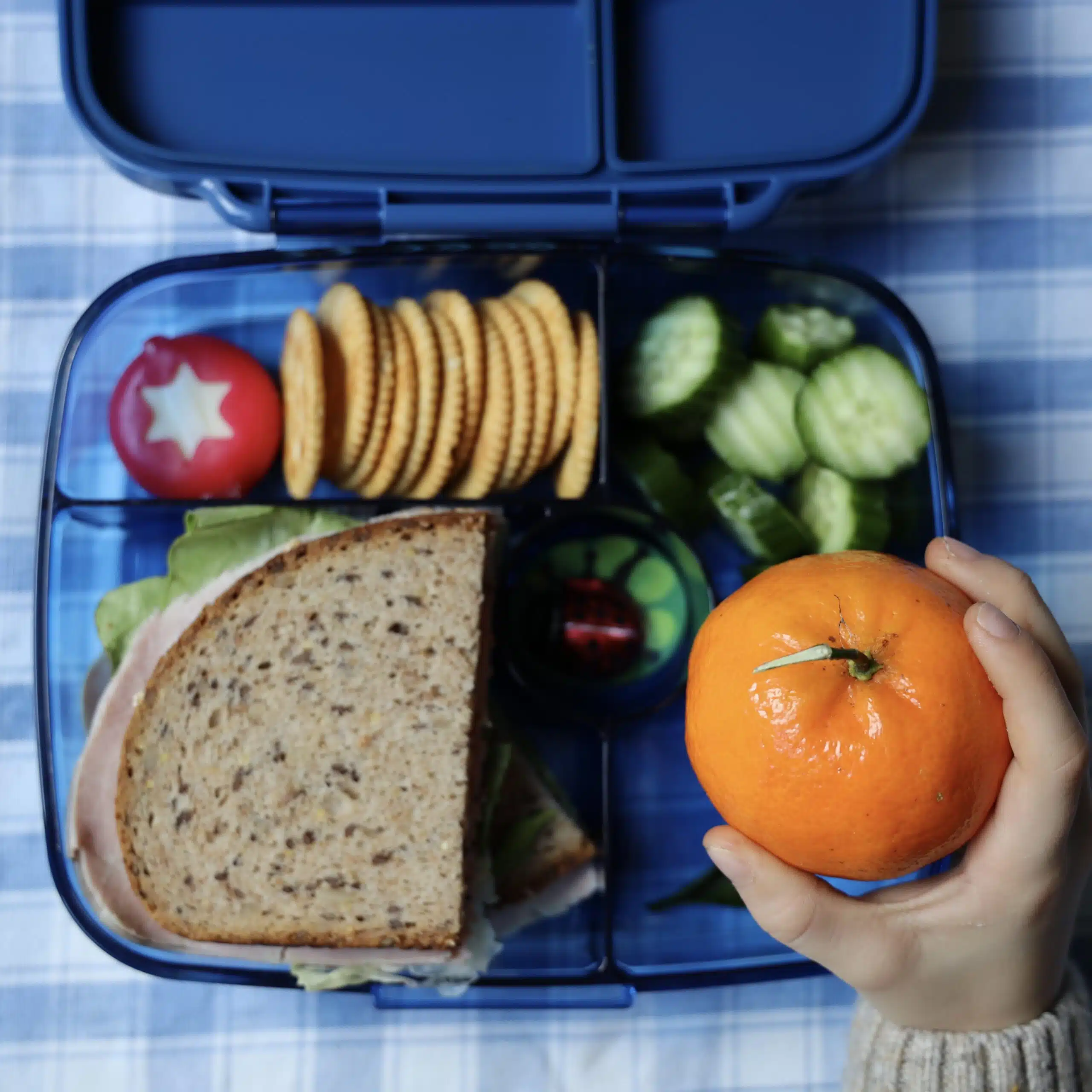 Oslo Blue Yumbox Blue Mandarin