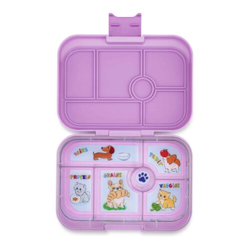 Ami Purple Cats And Dogs Open 3264 Flat 055 Amazon 2