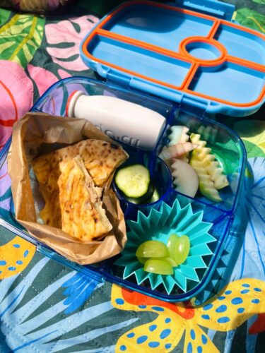 יאמבוקס גו - קופסת אוכל מחולקת Yumbox Go  photo review